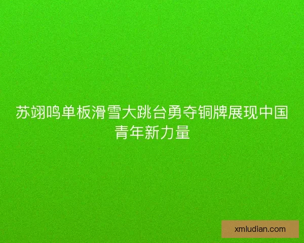 苏翊鸣单板滑雪大跳台勇夺铜牌展现中国青年新力量