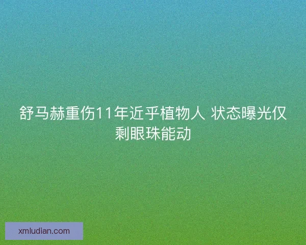 舒马赫重伤11年近乎植物人 状态曝光仅剩眼珠能动 舒马赫重伤11年近乎植物人 状态曝光仅剩眼珠能动