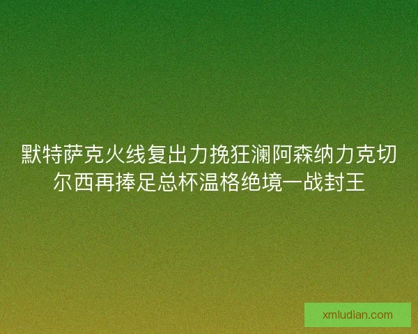 默特萨克火线复出力挽狂澜阿森纳力克切尔西再捧足总杯温格绝境一战封王